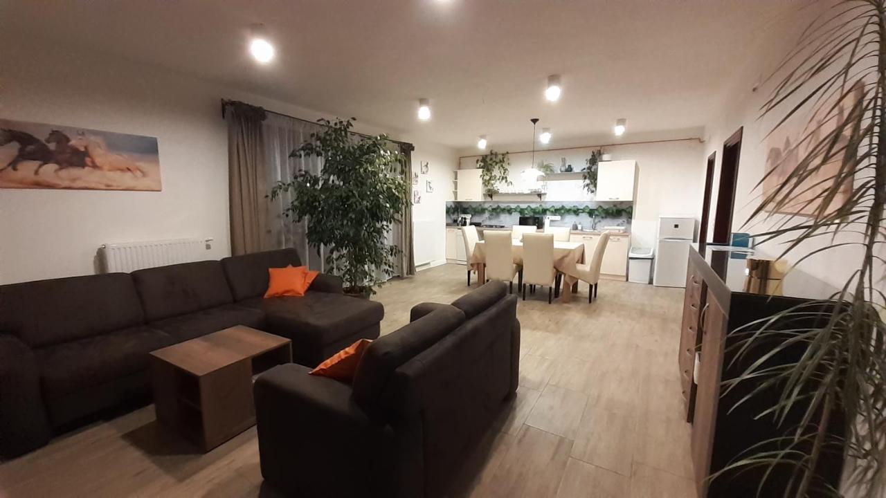 Bibic Apartman A Kapolnasnyek Exterior photo